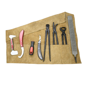 Prix d'usine en gros, instruments vétérinaires de haute qualité, meilleur kit d'outils de fermeur à vendre, prix économique - Product Image 1