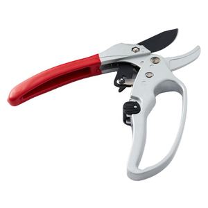 Kwang Hsieh-3 ataduras florales, tijeras de carraca - Product Image 3