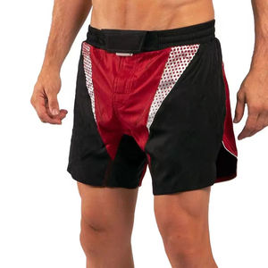 Pantalones Cortos de Entrenamiento, Pantalones Cortos de Lucha MMA, Logotipos Personalizados, Diseños OEM, Tela Microelástica - Product Image 4