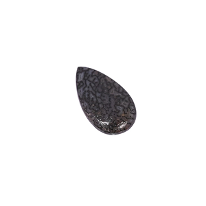 Pierre précieuse en forme de poire de 7,2 carats, 20x11mm, en os de dinosaure, non montée - Product Image 2