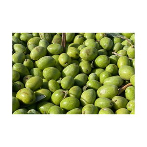 มะกอกเขียวสดสั่งตอนนี้ - Product Image 1