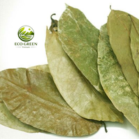 Feuilles de corossol séchées, tisane naturelle, feuilles d'Annona Muricata, thé détox bio, fournisseur Vietnamien, vente en gros en vrac