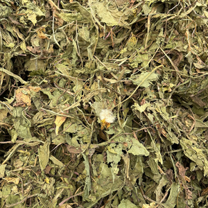 Flor de diente de león seca natural de Vietnam para un delicioso té de hierbas y como adorno aromático para alimentos, suministro de 99 Gold Data - Product Image 5