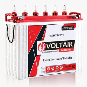 인도에서 만든 태양열 응용 프로그램을 위한 VOLTAIK TT2500 12V 250AH C20 키가 큰 관형 배터리
