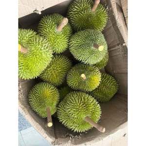 LA QUEO DURIAN VIETNAM |   Variedad local distintiva para venta al por mayor y exportación - Product Image 3