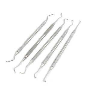 Orthodontic <b>Tools</b> Dental <b>Kit</b> Scaler & Probe <b>Small</b> Animal Dental Feline <b>Small</b> Dogs Cats Cleaning Teeth Oral Care Instruments - Product Image 1
