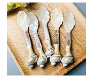 Cuchara Artesanal de Concha Marina con Empuñadura de Cerámica de Proveedor Vietnamita - Cuchara de Lujo para Decoración de Mesa - Product Image 6