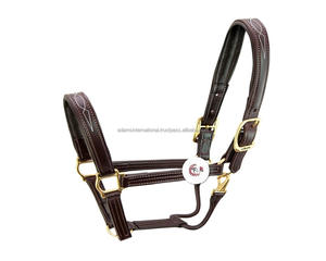 Licou en cuir noir de haute qualité - Product Image 2