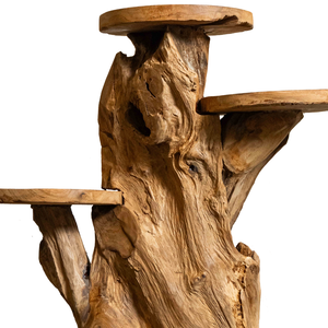 ARTERRA Support de Présentation en Bois Artisanal Rustique en Racine de Teck Bio de Qualité Supérieure pour Décoration Intérieure et Extérieure, Idéal pour la Salle de Diwali - Product Image 3