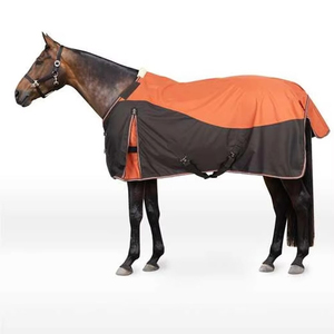 Couverture d'équitation haut de gamme 2026 imperméable, respirante et durable, design personnalisé, couverture de pâturage sur mesure, couvertures de cheval personnalisées - Product Image 1