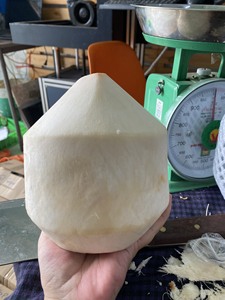 Agua de Coco Dulce Joven en Forma de Diamante, Coco de Vietnam con Buena Calidad y Precio Económico - Product Image 4