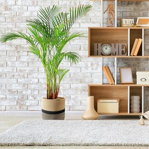 Woven Plant Basket Round Indoor Planter Pot Nordic Style Decorative Storage Container for Home Office Use - Product Image 1