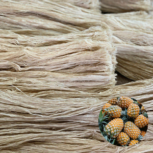 Cheap Price Export Quality Vietnam Factory Best Selling Eco-Friendly <b>Pineapple</b> Leaf Fiber Bulk Packing - Product Image 1