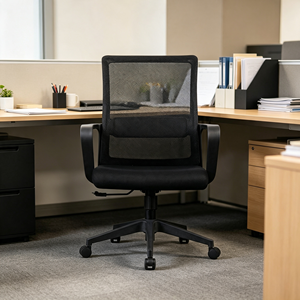 เก้าอี้สำนักงาน AY Office System Ergonomic Mesh สำหรับใช้ในบ้านหรือสำนักงาน พร้อมที่วางแขนแบบคงที่ โครงพลาสติก ปรับความสูงได้ด้วยมือหมุน - Product Image 1
