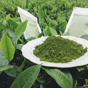 Poudre de matcha de qualité export, grade fin, pour la transformation de boissons, Vietnam - Product Image 3