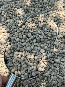 Specialty Arabica Roasted <b>Coffee</b> <b>Beans</b> - Freshly Roasted Medium Light Roast - Rich Floral & Fruity Aroma Bulk Supply - Product Image 5