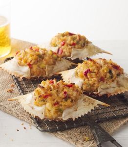 Matériel en coquilles de crabe séchées naturelles pour le rembourrage et l'artisanat - Product Image 4
