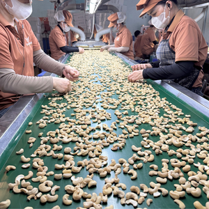 Hot Sale 2023 Roasted Cashew <b>Nuts</b> WW180, WW240, WW320, LP, WS Raw Cashew <b>Nuts</b> Cashew <b>Nuts</b> Ready To Ship - Product Image 1