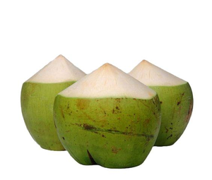 Noix de coco fraîche de haute qualité produit agricole du Vietnam - Product Image 4