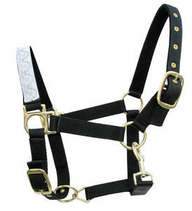 Harnais de cheval en nylon bleu avec rembourrage vert, équipement équestre réglable, harnais de cheval rembourré vert, équipement équestre réglable - Product Image 3