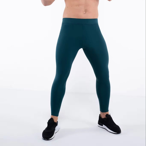 Leggings de sport pour hommes, coupe compressive, pour la course à pied, la gym, le fitness, pantalon athlétique extensible, séchage rapide, respirant, antibactérien, élastique - Product Image 1