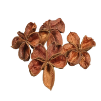 Fleur séchée de lotus de terre Fleur séchée décorative avec différentes tailles de remplisseurs de vase Pot-pourri