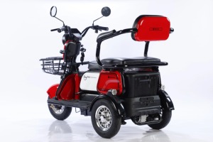 รถสามล้อไฟฟ้าสำหรับครอบครัว 600W ขายส่ง พร้อมคอนโทรลเลอร์ 12 ท่อ แบตเตอรี่ตะกั่วกรด ระยะทางไกล - Product Image 3