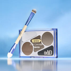 ODID Artist Hair <b>Concealer</b> <b>Palette</b> Plastic 12.9g Hairline Cover Powder Natural Volume Styling Root Korean Hair Care - Product Image 1