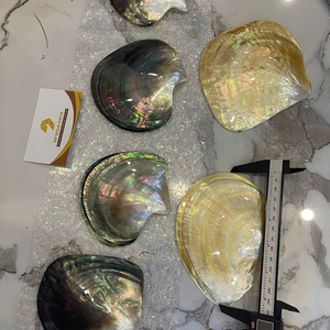Vietnam Contemporary Mother of Pearl Plate Natural Shell Material for Jewelry Tray Serving <b>Tabletop</b> Display - Product Image 1