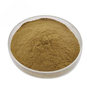 Polvo de Hoja de Aloe Vera 100% Puro de Primera Calidad, Polvo de Aloe Vera Natural a Granel, Favorece el Crecimiento del Cabello Suave y Saludable - Product Image 2
