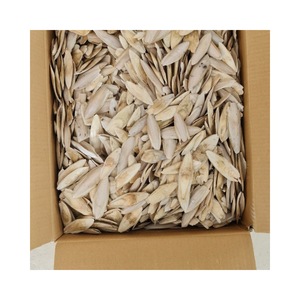 Os de seiche en gros pour fournitures d'aviaries, éleveurs d'oiseaux et magasins d'animaux - Product Image 3