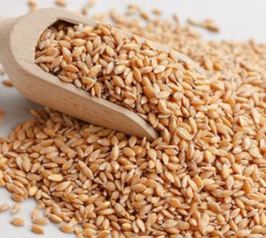 Grano de Trigo Seco de Primera Calidad a Granel / Trigo Integral de Origen Estadounidense, 24 Meses de Vida Útil, Sabor Natural, Entrega Rápida, Venta de Stock - Product Image 5