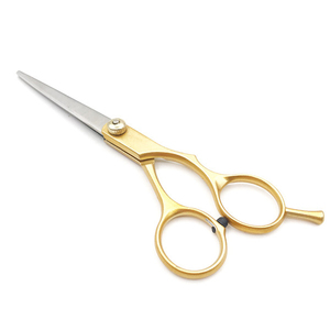 Ciseaux de coiffure professionnels pour salon de barbier, ciseaux de beauté en acier inoxydable pour la coupe de cheveux - Product Image 1