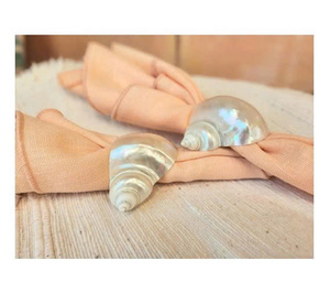 Wholesale Natural Seashell Napkin <b>Ring</b> Decorative White Shell Napkin Holder for Coastal Dining Wedding Table Setting - Product Image 4