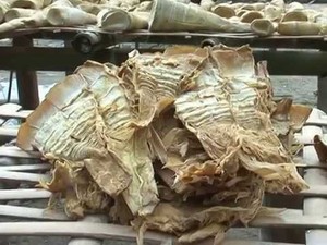 หน่อไม้ไผ่แห้งพรีเมียม – หน่อไม้ไผ่ตากแดดธรรมชาติ ผู้จัดจำหน่ายจากเวียดนาม // คุณทอม - Product Image 4