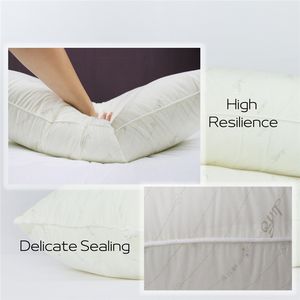 ผู้ผลิตไต้หวันรับผลิตหมอนรองคอแบบพิมพ์ลายตามสั่ง ป้องกันการแพ้ - Product Image 6