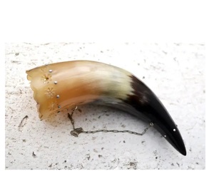 Sculpture d'art de ferme moderne avec base en acier élégante et corne de buffle nouveauté décoration de maison créative électrique pour les mariages - Product Image 5