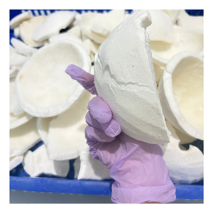 Viande de noix de coco congelée de qualité export, couleur blanche uniforme, saveur fraîche et prix usine compétitif du Vietnam - Product Image 2