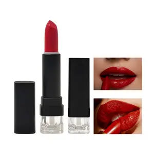 Rouge à lèvres en velours de haute qualité imperméable et mat longue durée avec produit cosmétique de beauté de marque privée à faible quantité minimale de commande