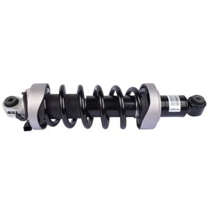 Audi R8 D 2007-2015 Rear Air Shock Absorber 420512019AG & 420512020Q Product Line - Product Image 4