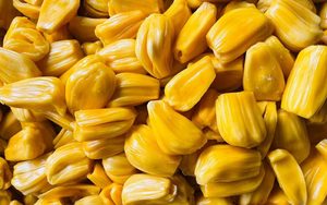 ขนุนแช่แข็ง 2026 ขายดี ราคาส่ง คุณภาพสูง - Product Image 2