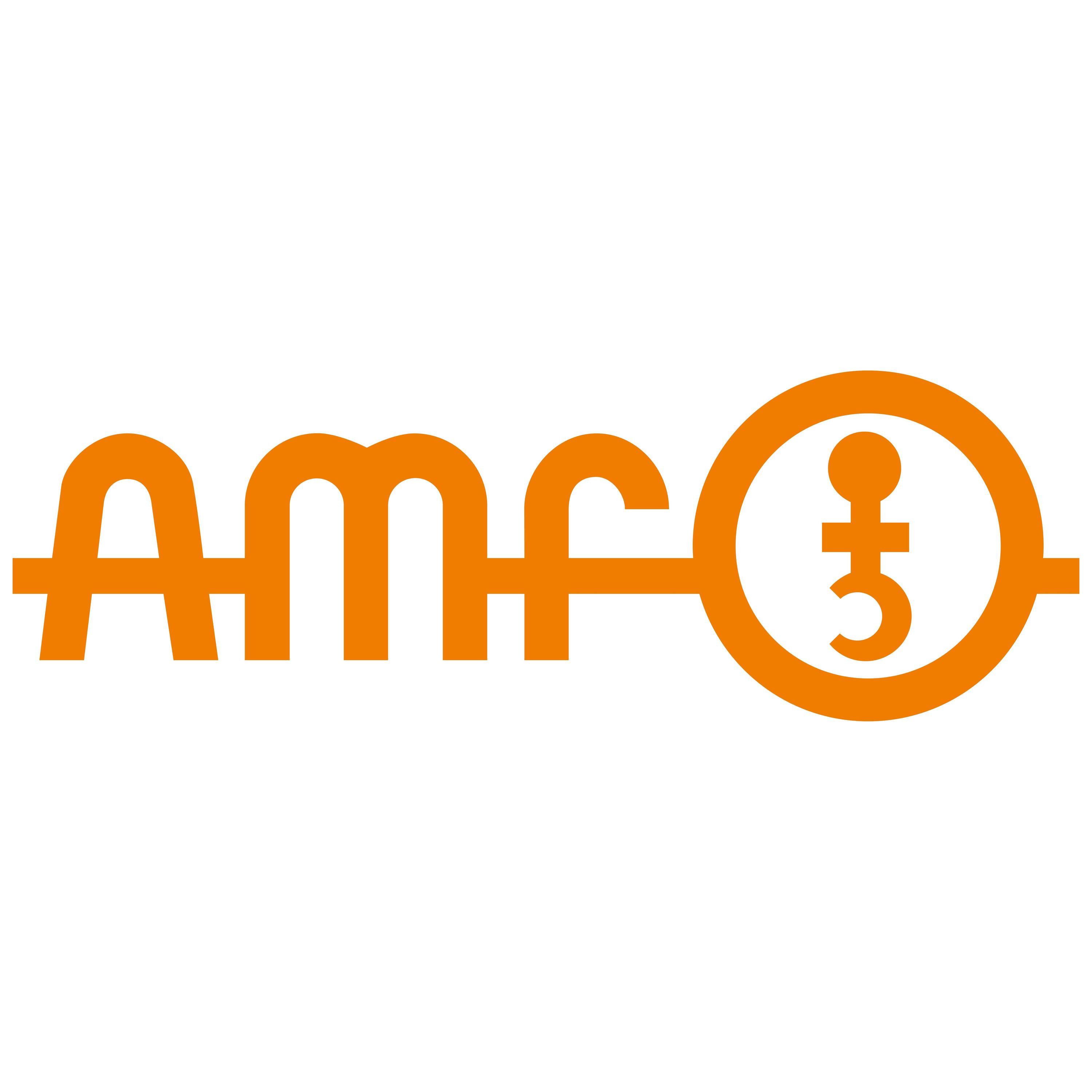 AMF ANDREAS MAIER GmbH & Co. KG logo