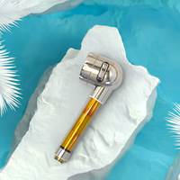 Meilleur vendeur : Ioniseur de douche portable pour la maison, fabriqué en Corée, anti-chute de cheveux, anti-bactérien, émission d'anions, filtre pour le soin des gencives