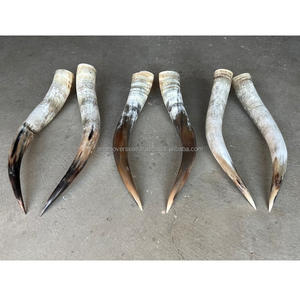 Longs cornes de boeuf polies en vrac de gros pour la décoration murale rustique de la maison et de la villa - Product Image 3