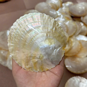 Plateau décoratif en nacre de 12 pouces de qualité supérieure avec accents dorés et argentés et textures naturelles irisées uniques - Product Image 2