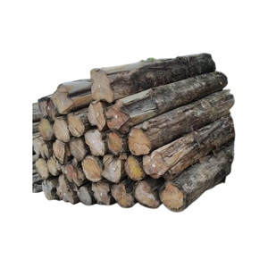 Bois de teck africain de qualité supérieure en gros – Approvisionnement en bois de haute qualité - Product Image 2