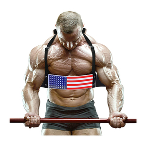 Brazo de Ejercicio para Levantamiento de Pesas de Acero y Goma Premium con Logotipo Personalizado para Entrenamiento de Bíceps - Equipo de Fitness Unisex - Product Image 4