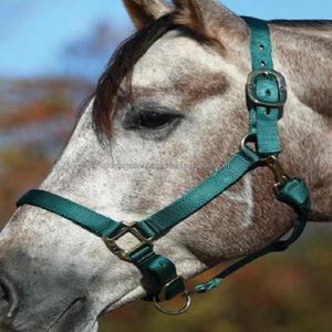 Halter estable de nailon Premium con hardware de latón, 1 pulgada de ancho, con enganche de garganta extraíble - Product Image 5