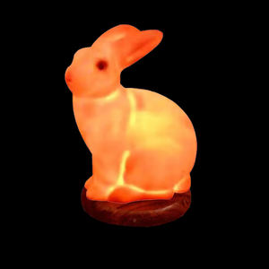 Lámpara de Sal Rosa con Forma de Animal, Artesanía Natural del Himalaya, Proveedor Mayorista de Pakistán - Product Image 5