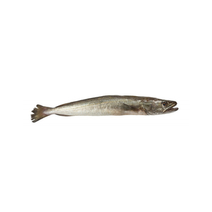 Hake <b>Fish</b> Frozen for Catering and Restaurant Supply - Product Image 5